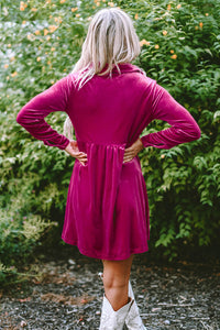 Lennon Long Sleeve Ruffle Velvet Dress