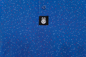 The Big Bang Polo