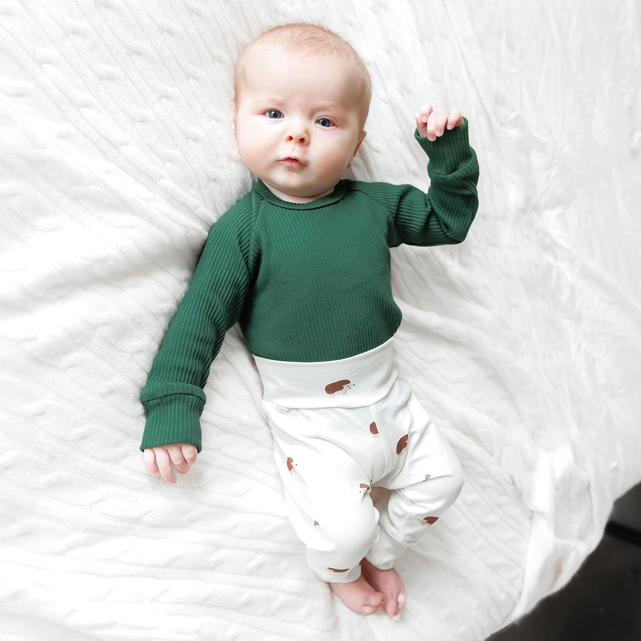 Sweet Hedgehogs on Ivory Baby & Toddler Cotton Knit Leggings